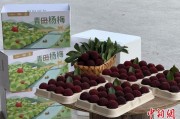搬家吉日高速赋能产业升级：一条“杨梅路”的致富密码